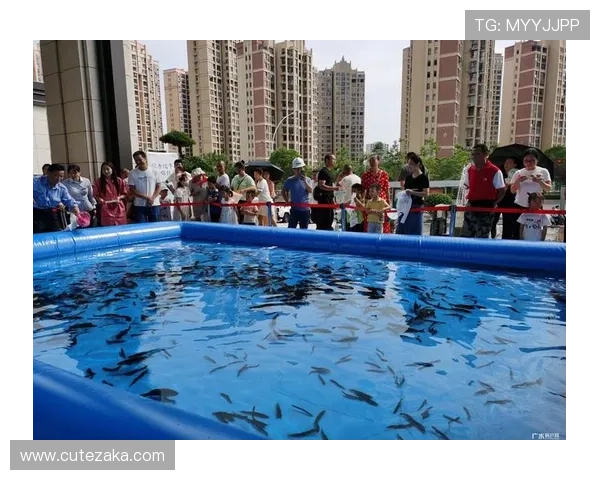 博鱼真人网址官方入口导航，提供多样化真人游戏选择与优质客户服务